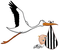 QuickScores delivers Officials