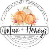 schedule logo