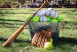baseball-bat-1.jpg