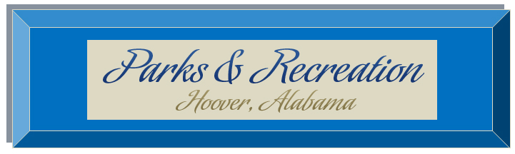 schedule logo