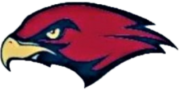 Hawk head 2020