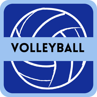 Button_Volleyball (png)