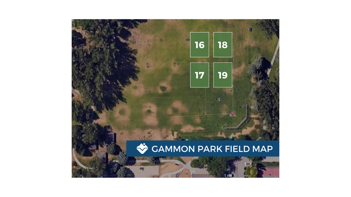Venue layout